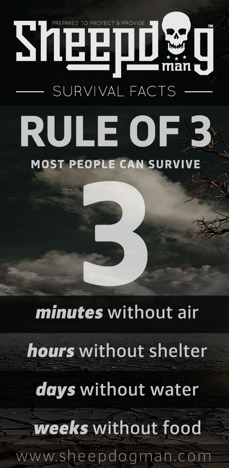 Rules of Survival by Jus Accardo